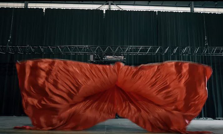Sniffer Drape, исчезающий занавес